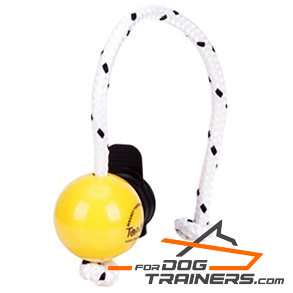 Yellow plastic dog ball