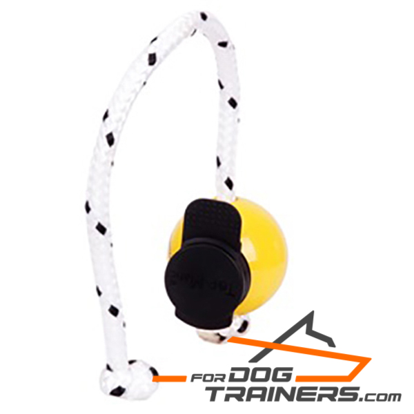Yellow rubber dog ball for training