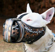 Bull Terrier Hand painted leather Muzzle "Dondi" Plus-BULL TER