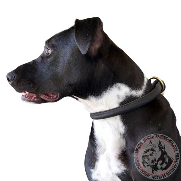 Round Leather Dog Choke Collar for American Pit Bull Terrier Behavior Correction