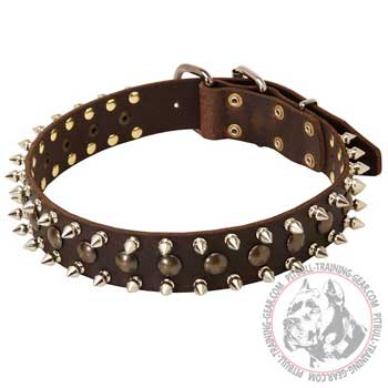 Spiked and Studded Designer Leather American Pit Bull Terrier Collar for Walking