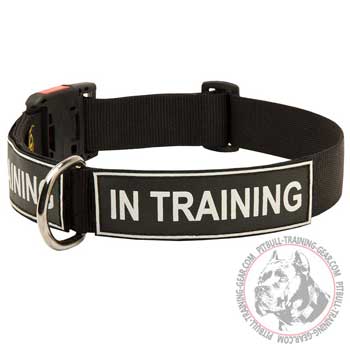 All Weather Nylon American Pit Bull Terrier Collar with Patches