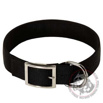 American Pit Bull Terrier Collar Nylon with Nickel Fittings