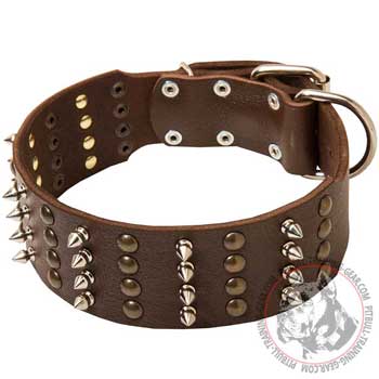 Wide decorated leather American Pit Bull Terrier collar for walking