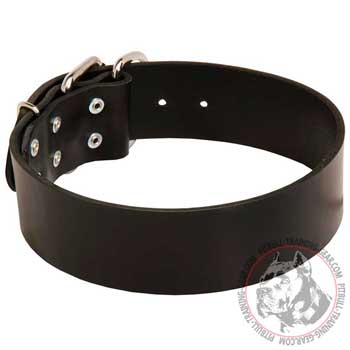 Leather American Pit Bull Terrier collar for dog agitation training