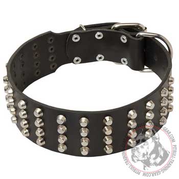 Wide handmade leather American Pit Bull Terrier collar