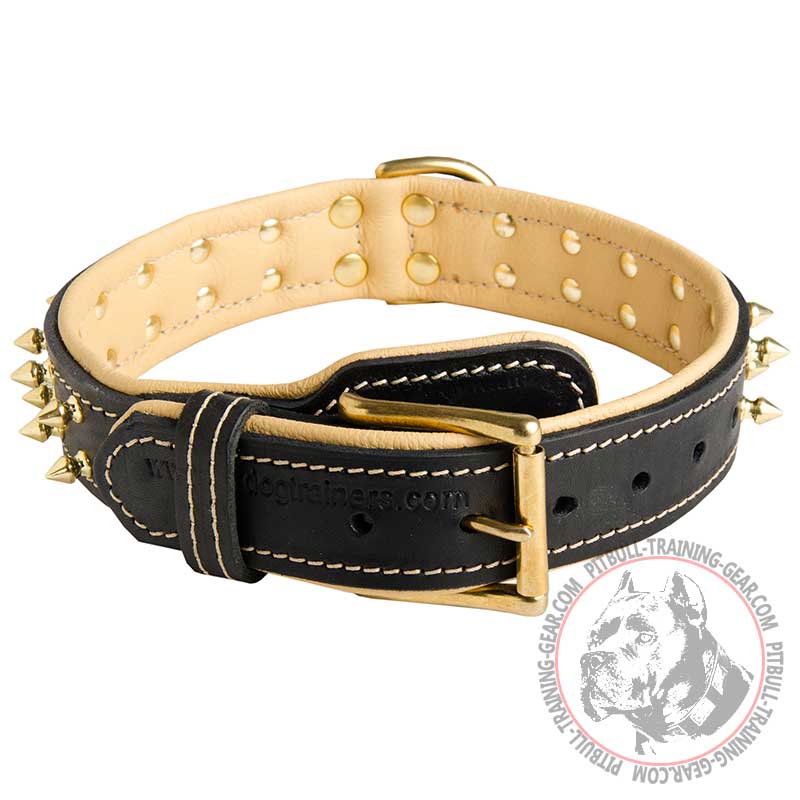 Buy Designer Leather Dog Collar for Pitbull