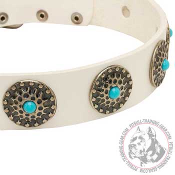 Gorgeous Decorations on Leather Pitbull Collar 