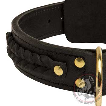 Leather Dog Collar with brass D-ring