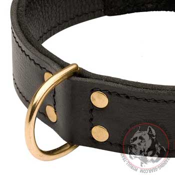 Rustproof Brass D-Ring for Attachment of your Dog Leash