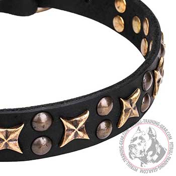 Brass plated figgery of dog collar for Pit Bulls