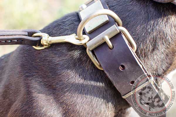 Brass Hardware for Easy Handling your Pet and Dog Lead Attachment