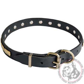 Reliable steel old brass plated Hardware for Easy Fitting to your Pit Bull's sizes