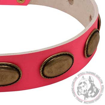 Massive Vintage Oval Brass Plates on Leather Dog Collar
