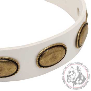 Exclusive Oval Brass Plates on White Leather Dog Collar