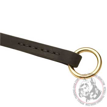 O-ring of Pit Bull Choke Collar