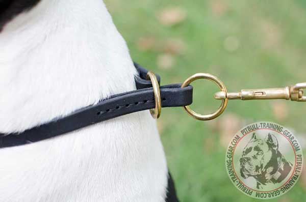 O-rings on Leather Dog Choke Collar
