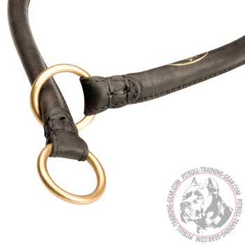 Durable Brass Rings on Universal Leather Dog Choke Collar