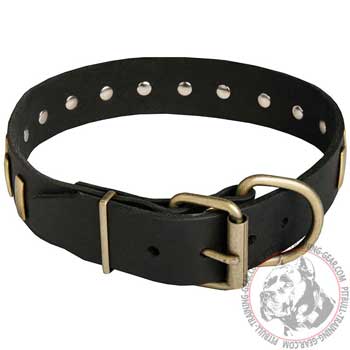 Brass fittings of leather dog collar for Pitbull