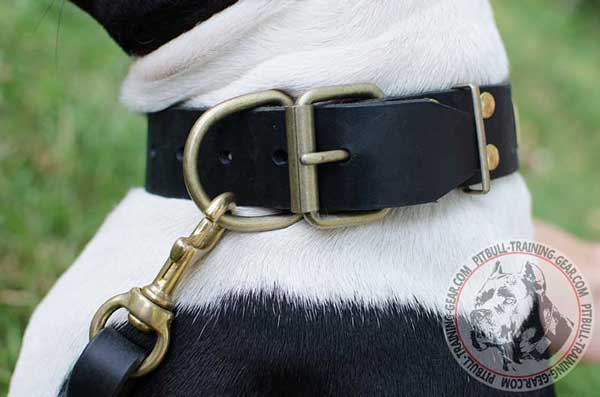 Durable rust-resistant brass hardware of leather dog collar