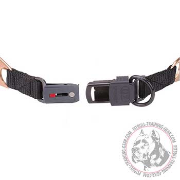 Click Lock Buckle with Exra Protector