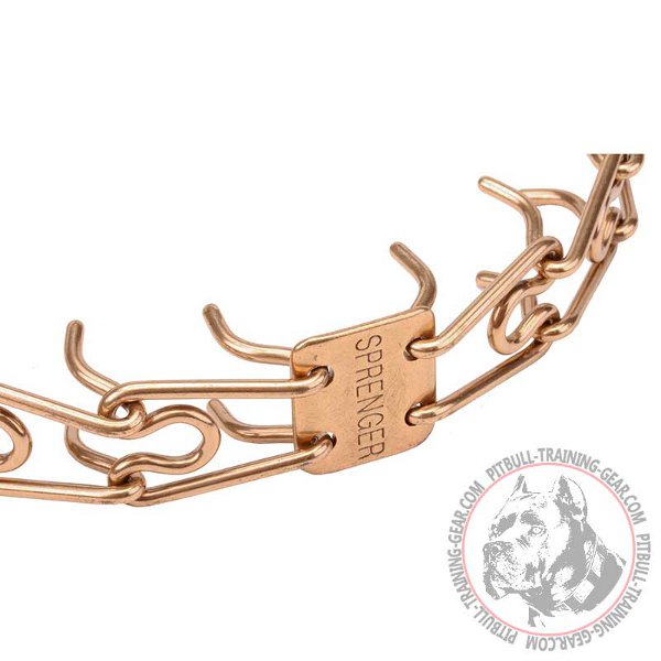 Special Curogan Prongs of Pit Bull Training Collar