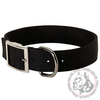 Durable D-Ring on Pit Bull Collar for Leash Attachment