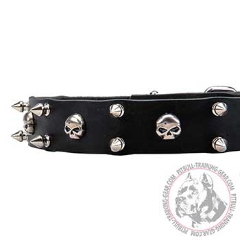 Decorative Steel Nickel Plated Skulls of Pitbull Collar