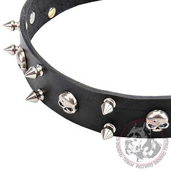 Steel Decorative Spikes of Pitbull Dog Leather Collar