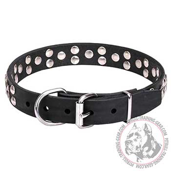 Dog Collar for Pit Bulls, strong hardware