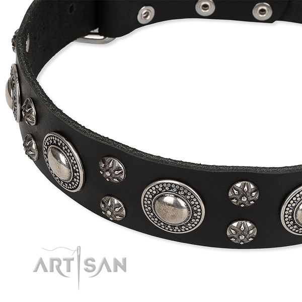 Quick to fasten leather dog collar with resistant to tear and wear rust-proof buckle