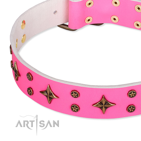 Full grain natural leather dog collar with significant decorations