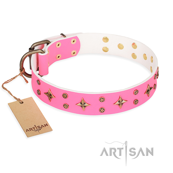 Extraordinary natural genuine leather dog collar for daily walking