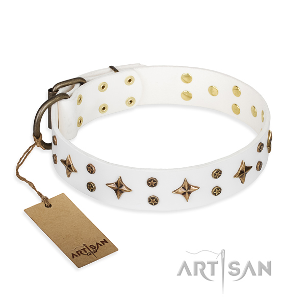 Amazing full grain genuine leather dog collar for everyday use