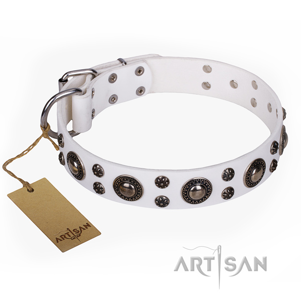 Extraordinary leather dog collar for everyday use