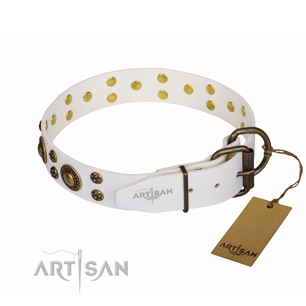 Awesome genuine leather dog collar for everyday walking