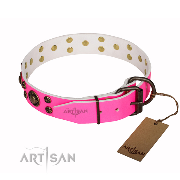 Impressive natural genuine leather dog collar for everyday use