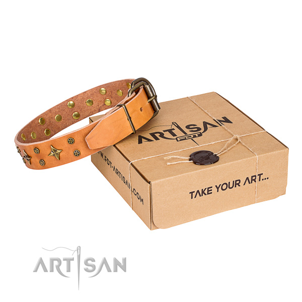 Adorned natural genuine leather dog collar for stylish walks