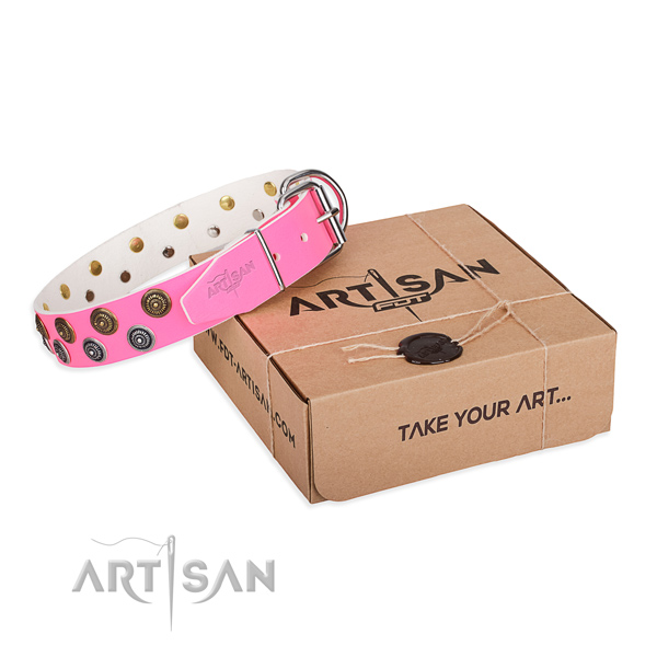 Embellished leather dog collar for walking