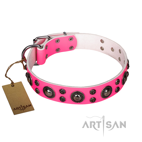 Incredible leather dog collar for everyday use