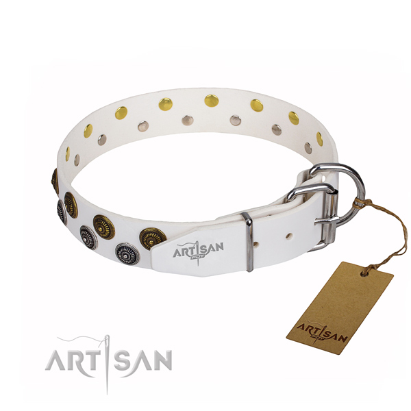 Everyday walking full grain genuine leather collar with studs for your four-legged friend