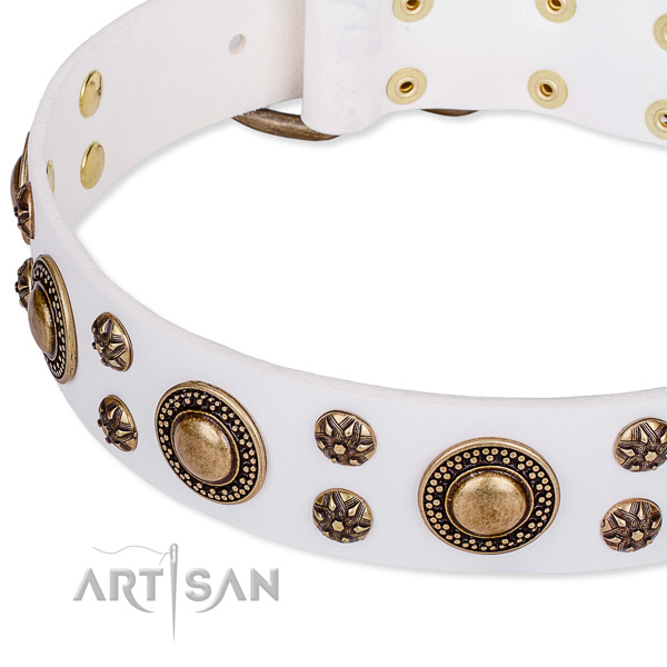 Natural genuine leather dog collar with incredible adornments