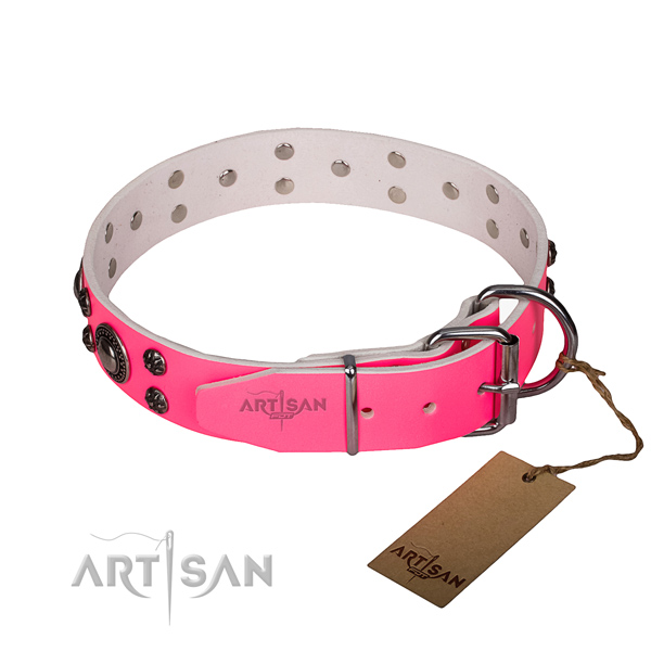 Daily use full grain leather collar with reliable buckle and D-ring