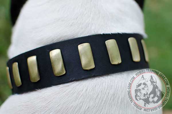 Fashion decorated leather dog collar with plates