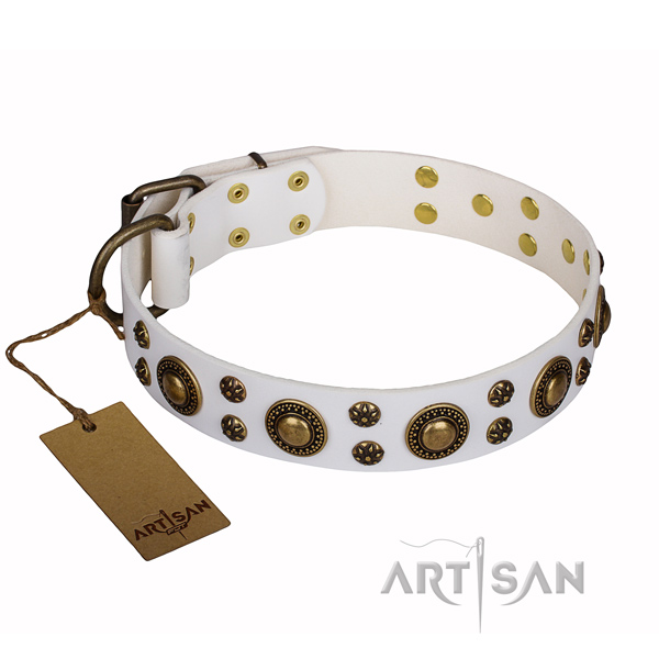 Walking full grain genuine leather collar with decorations for your canine