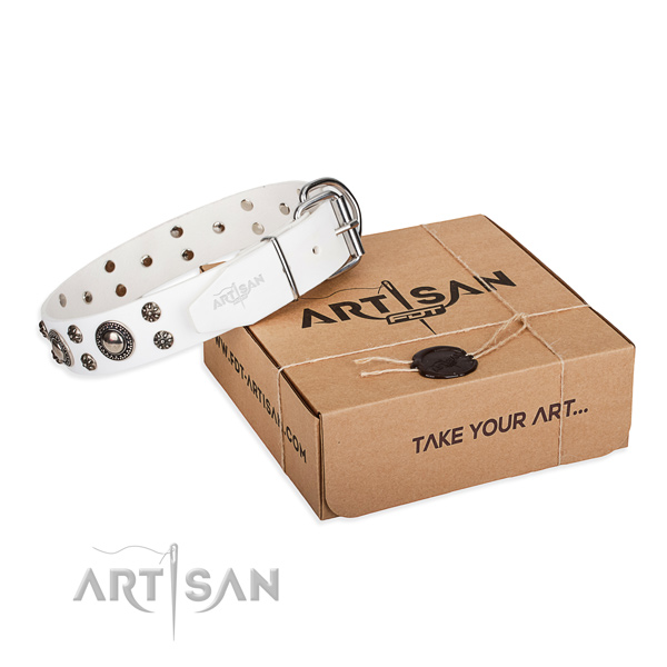 Top quality full grain genuine leather dog collar for daily use