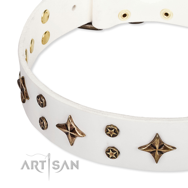 Full grain natural leather dog collar with fashionable studs