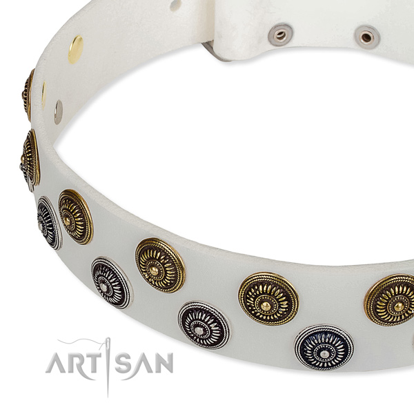 Genuine leather dog collar with stunning adornments