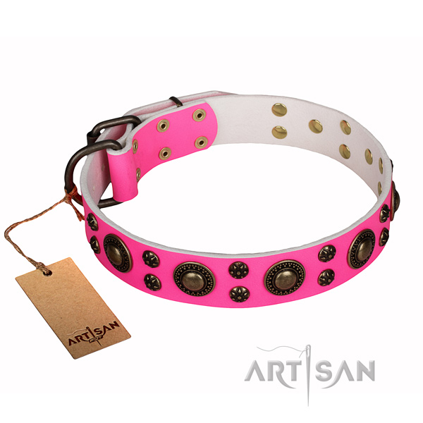 Walking full grain natural leather collar with studs for your pet
