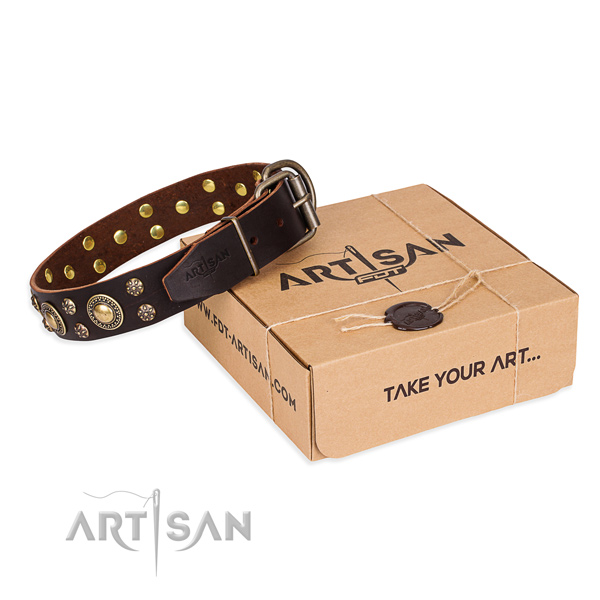 Impressive full grain genuine leather dog collar for daily use
